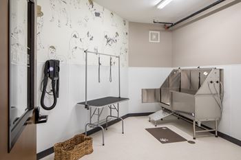 Pet wash
